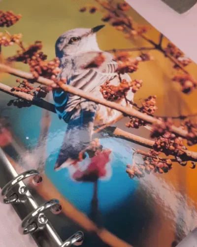 Monthly Dividers – Tabs for Planner – 12 Months – Nature – 2024