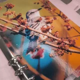 Monthly Dividers - Tabs for Planner