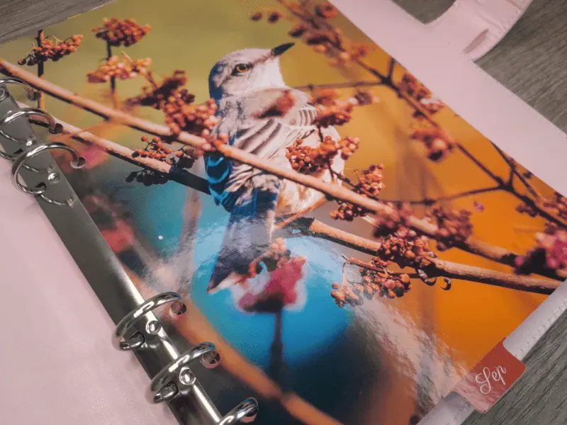 Monthly Dividers – Tabs for Planner – 12 Months – Nature – 2024