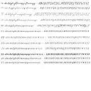 Vinyl decal sticker personalised – for weddings , balloons, birthdays, boards