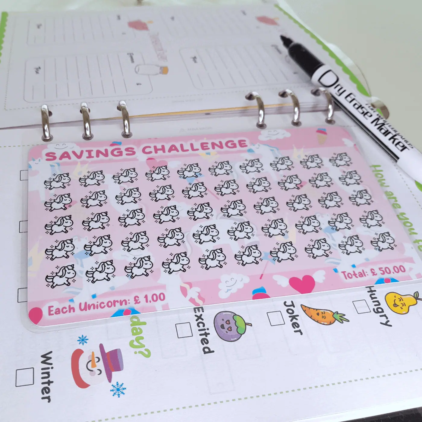 Children’s Savings Challenge – For A6/A5 Binders