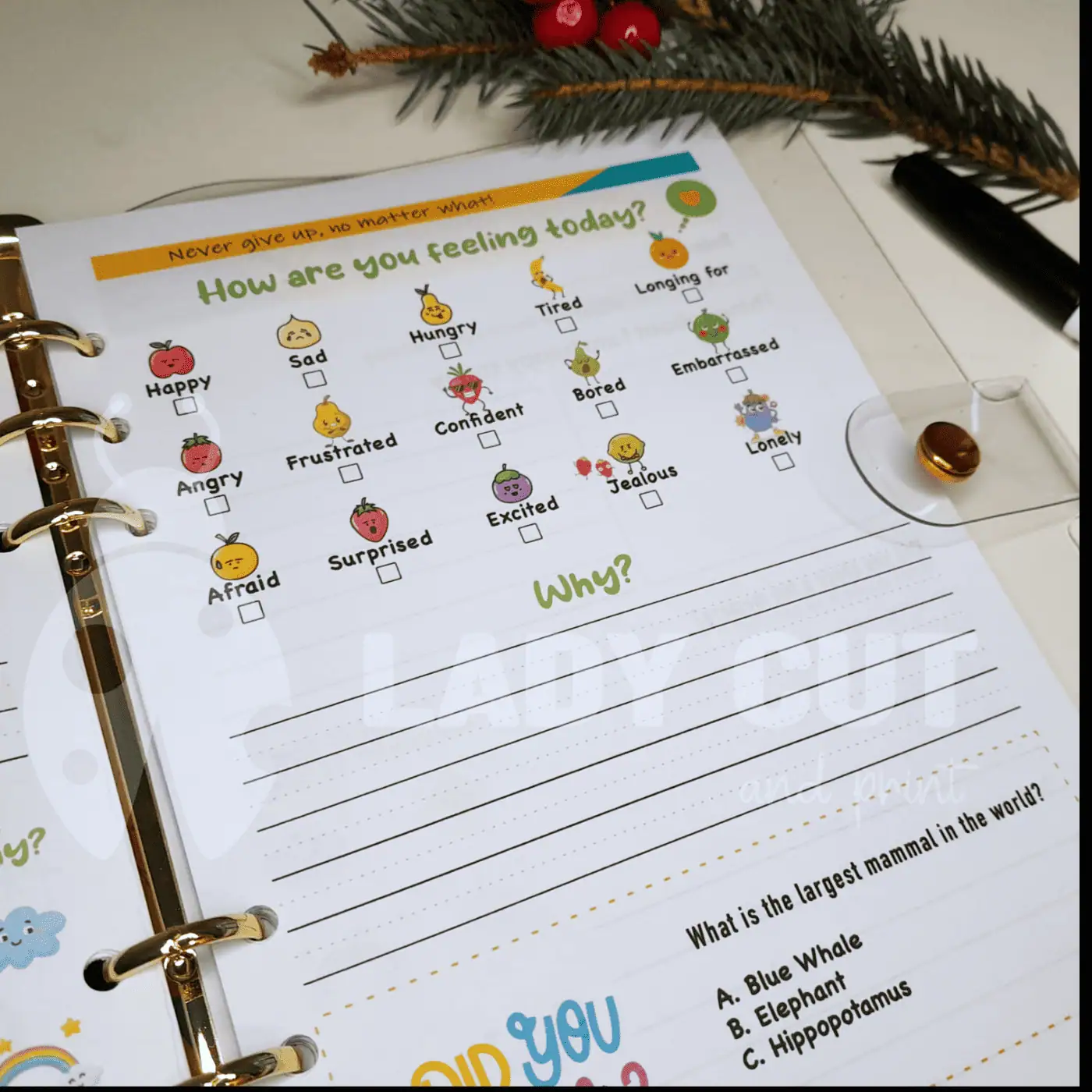 My Small Stories –  Personalised diary  focused on the child’s feelings