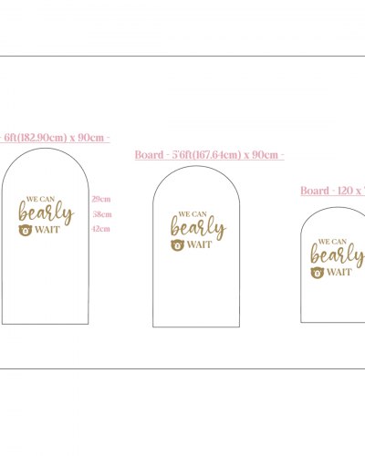 Baby Shower Vinyl decal – Wall sticker – We can Bearly wait