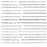 Personalised Coffee Cups with Lids, for Teacher’s gift , Parties, Party bag, and Events – Pack 10/20 – Sorted colours