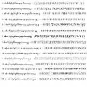 30-45CM – Vinyl decal sticker personalised – for weddings , balloons, birthdays, boards